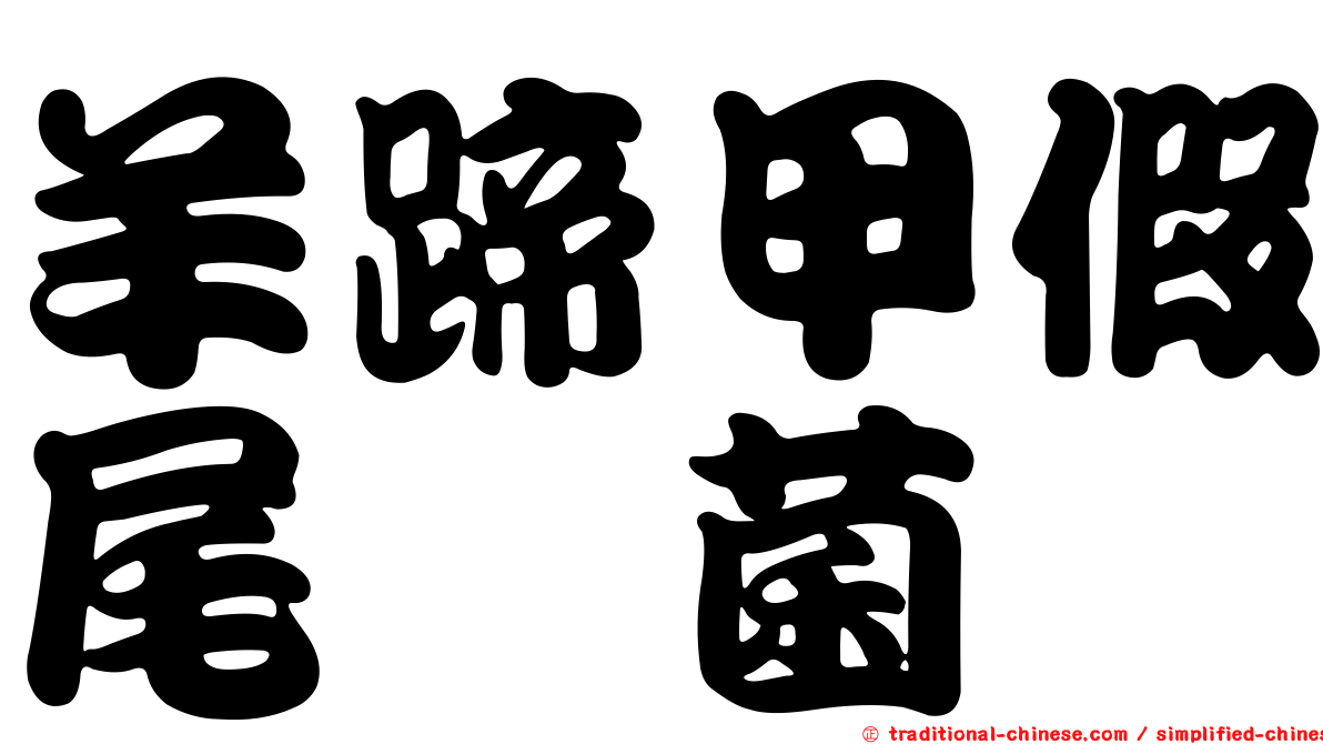 羊蹄甲假尾孢菌