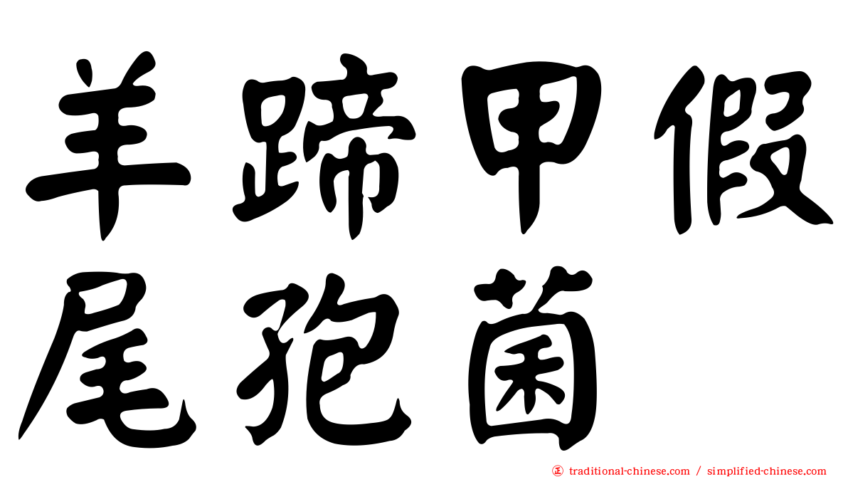 羊蹄甲假尾孢菌