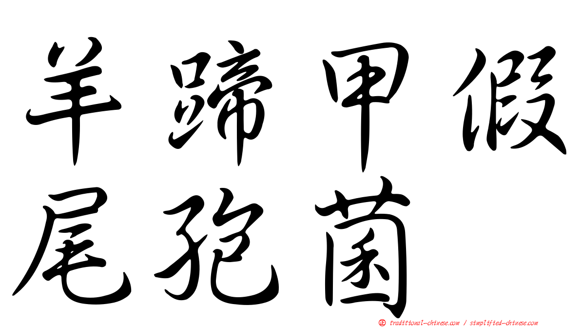 羊蹄甲假尾孢菌