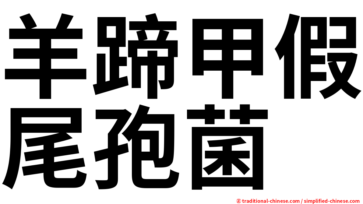 羊蹄甲假尾孢菌