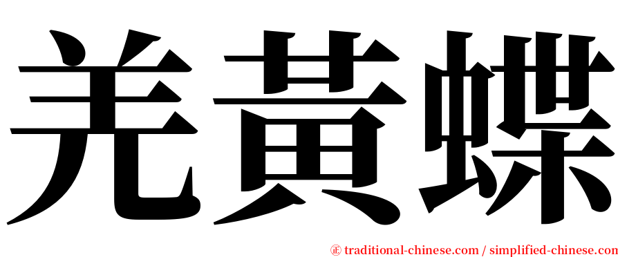 羌黃蝶 serif font