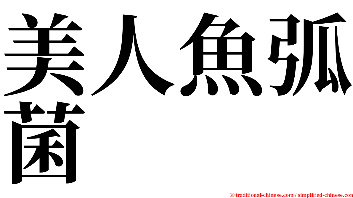 美人魚弧菌 serif font