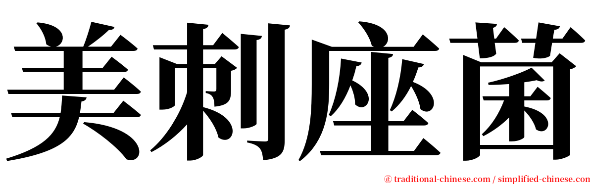 美刺座菌 serif font