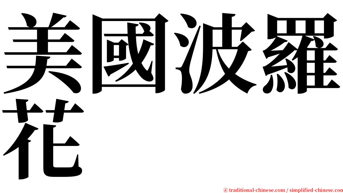 美國波羅花 serif font