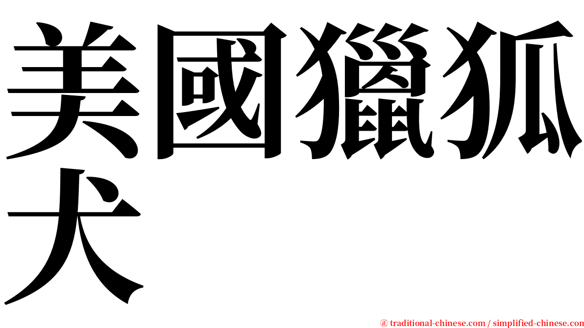 美國獵狐犬 serif font