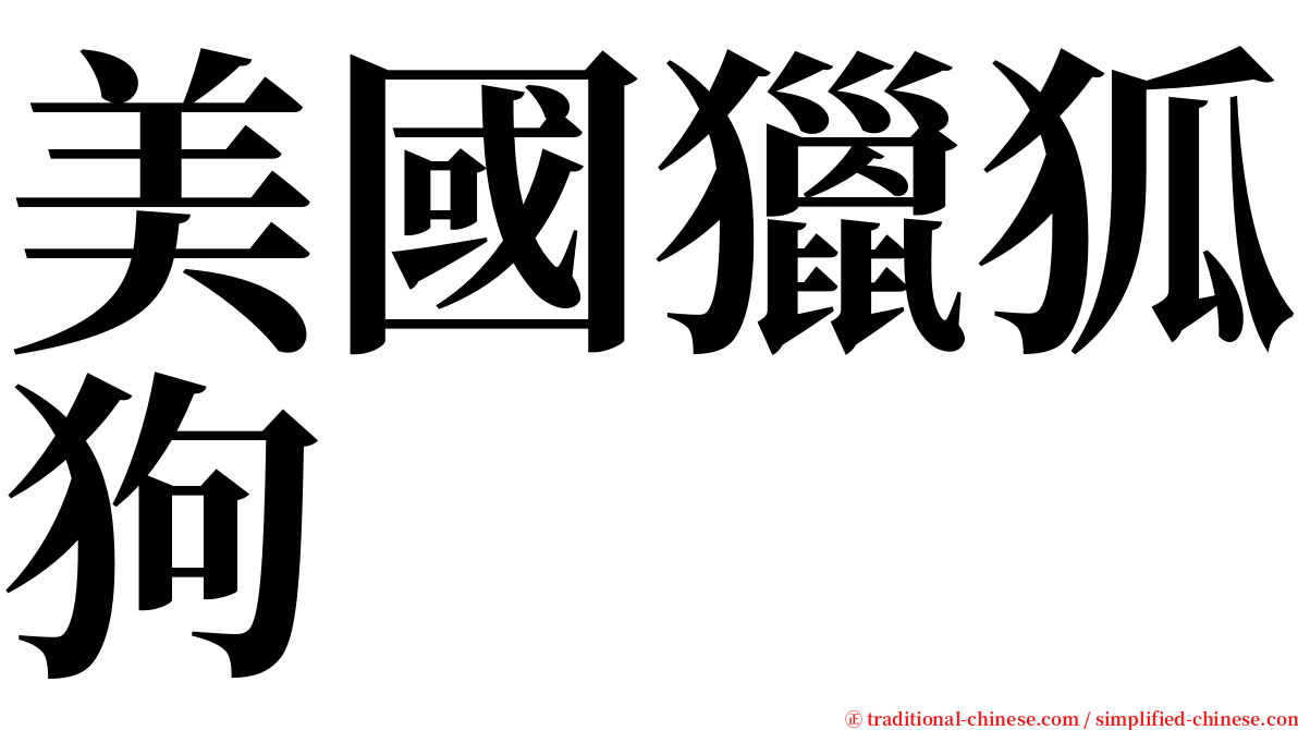 美國獵狐狗 serif font