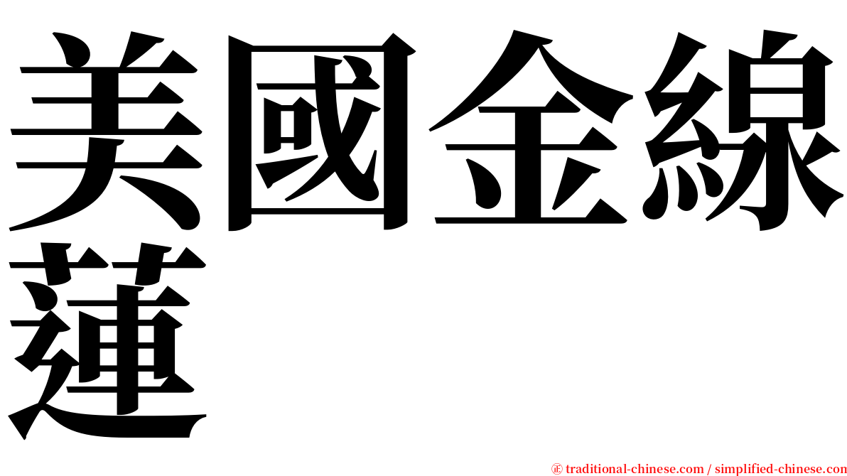 美國金線蓮 serif font