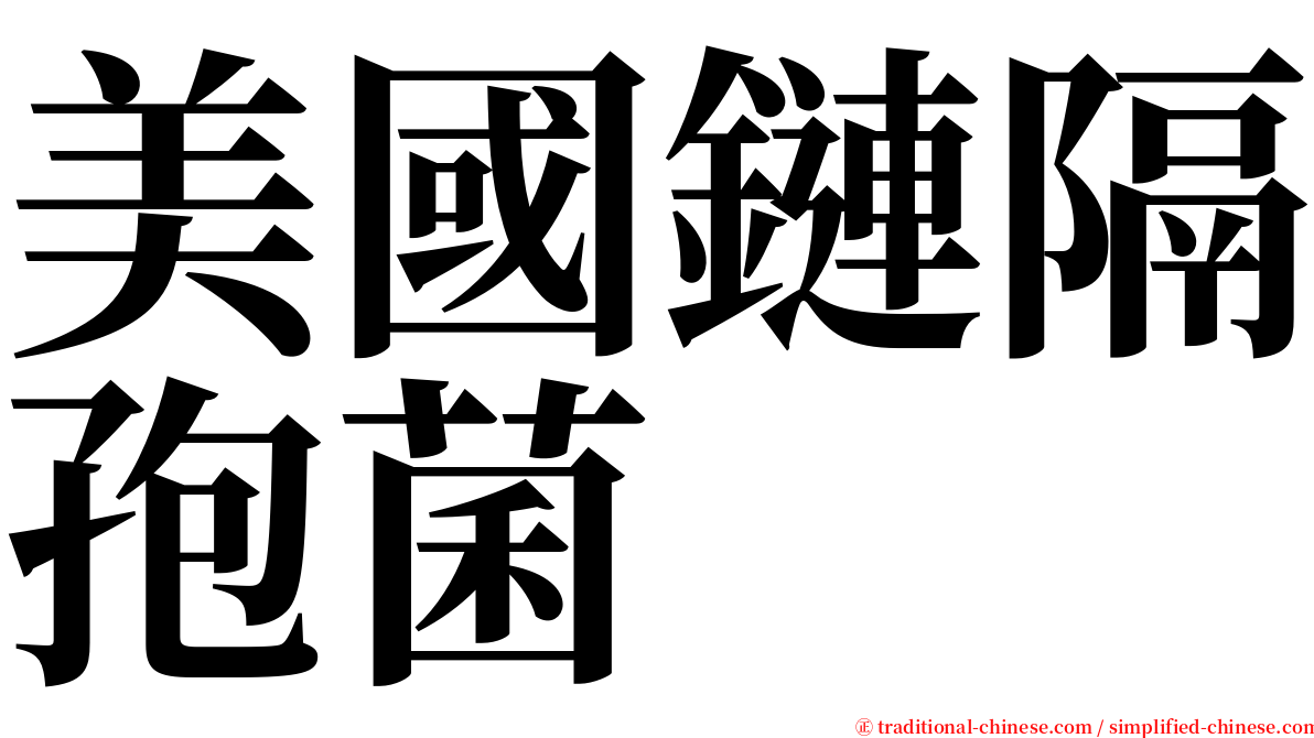 美國鏈隔孢菌 serif font