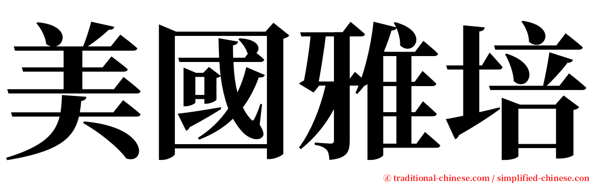 美國雅培 serif font