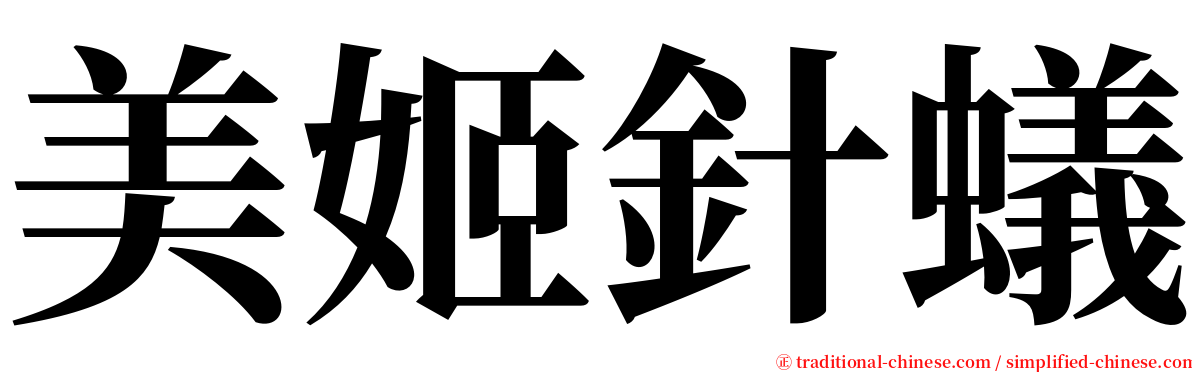 美姬針蟻 serif font