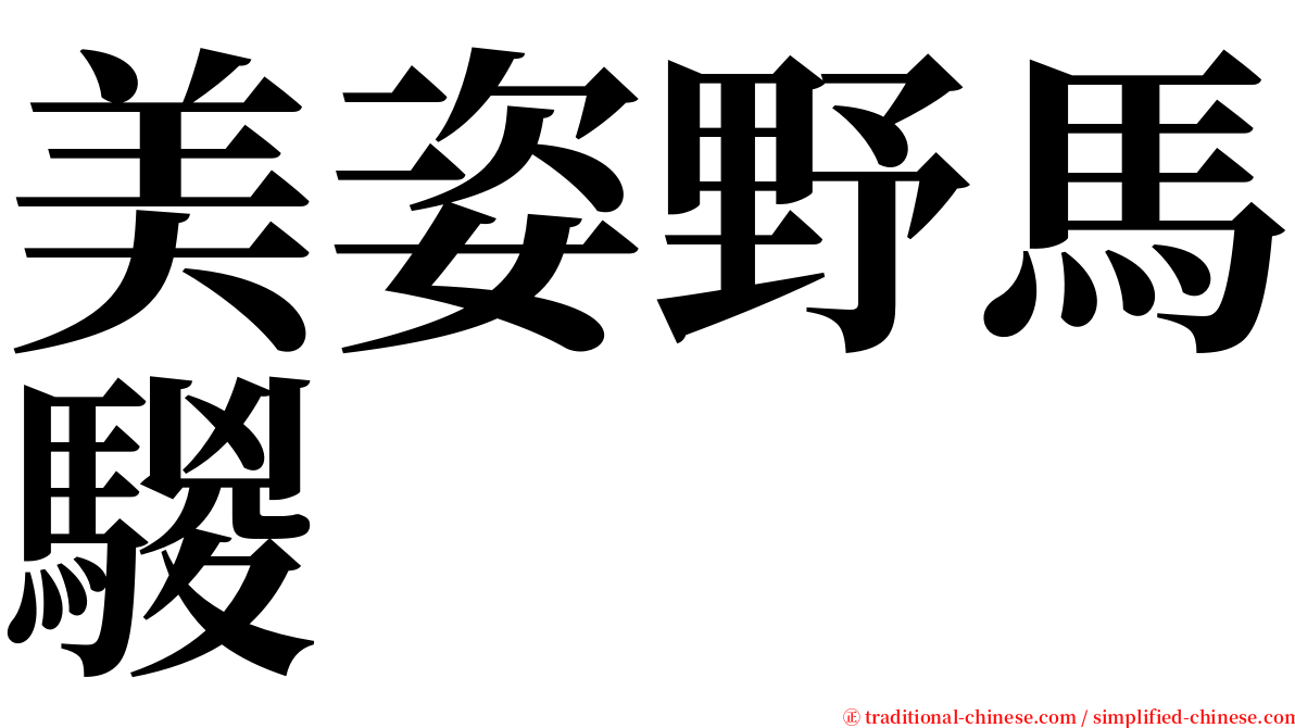 美姿野馬騣 serif font