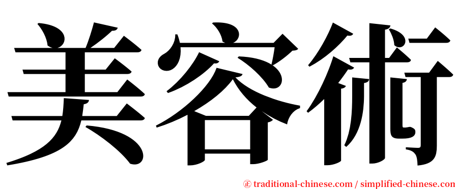 美容術 serif font