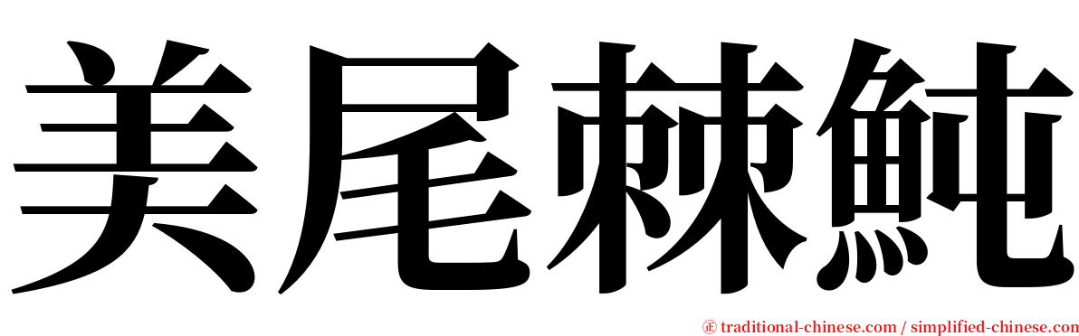 美尾棘魨 serif font