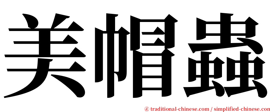 美帽蟲 serif font