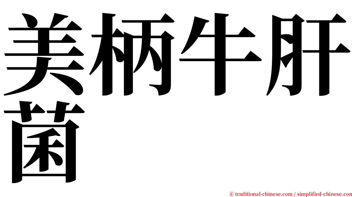 美柄牛肝菌 serif font