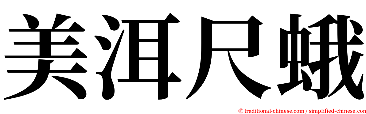 美洱尺蛾 serif font