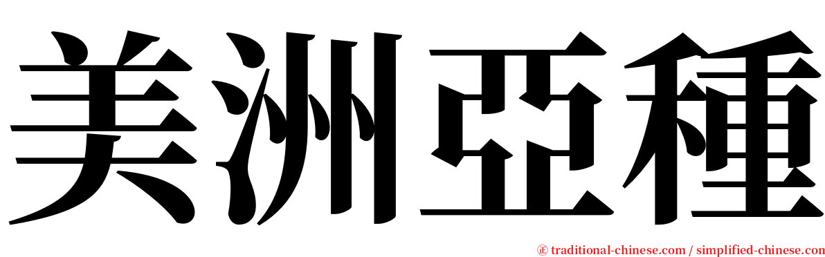 美洲亞種 serif font