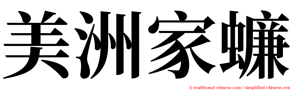 美洲家蠊 serif font