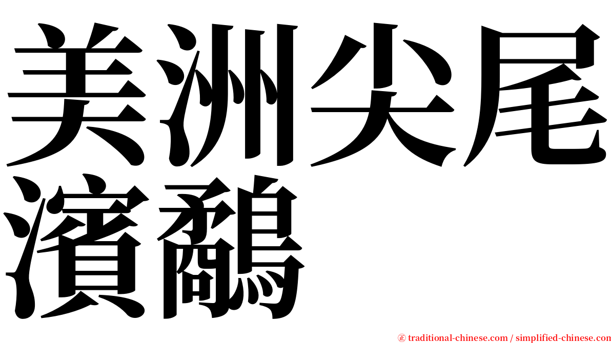 美洲尖尾濱鷸 serif font