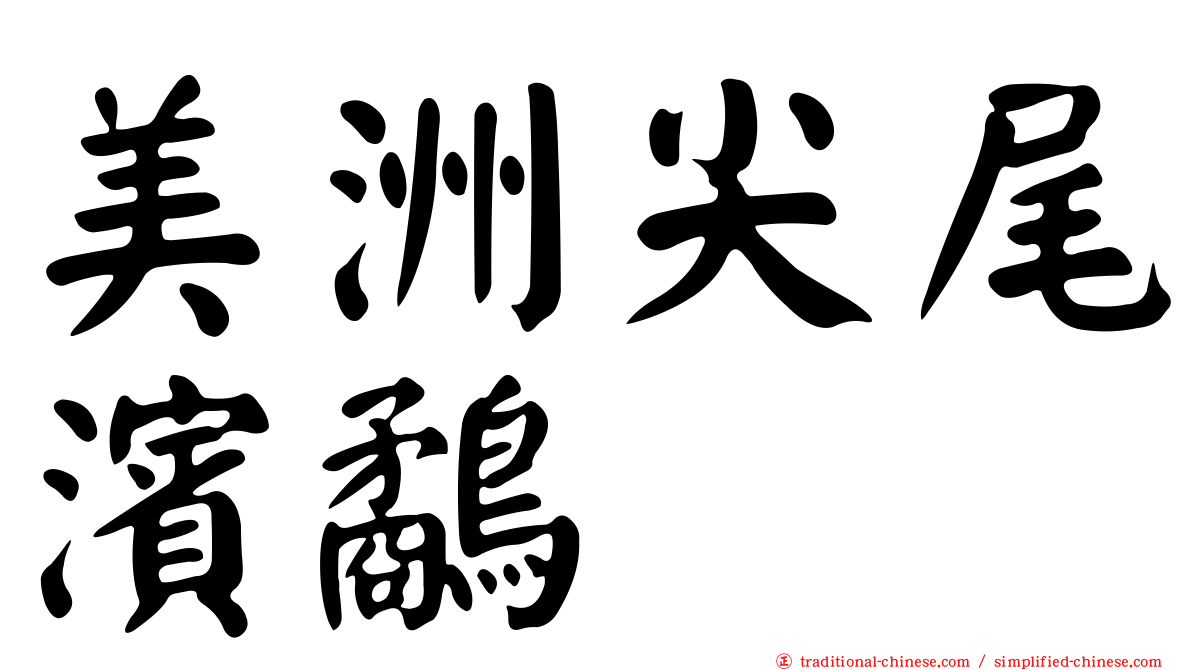 美洲尖尾濱鷸