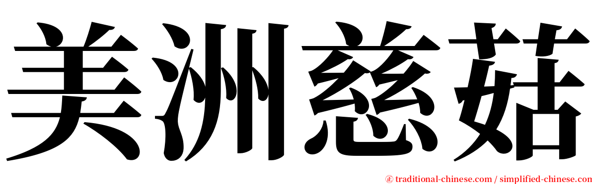 美洲慈菇 serif font