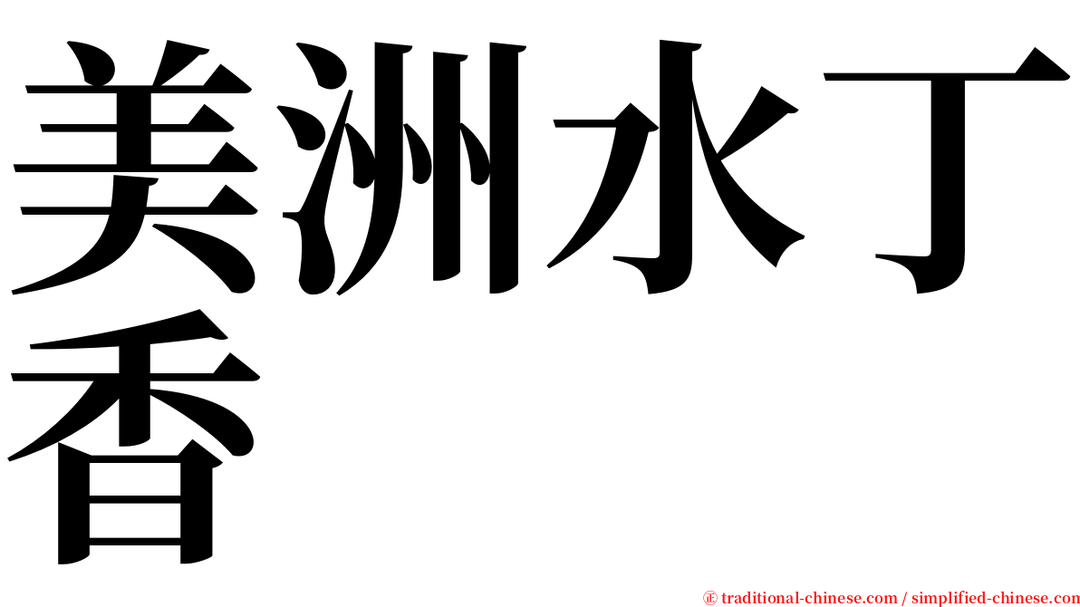 美洲水丁香 serif font