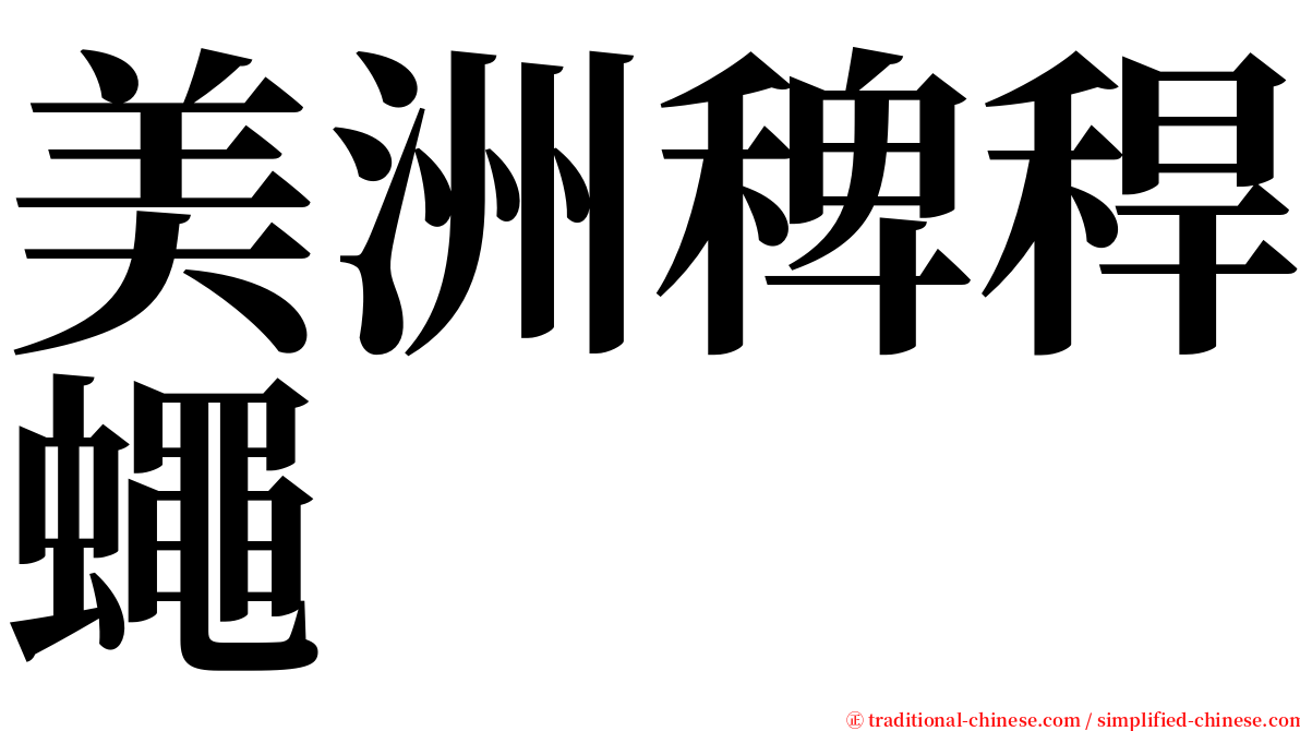 美洲稗稈蠅 serif font