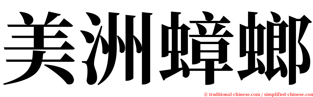 美洲蟑螂 serif font