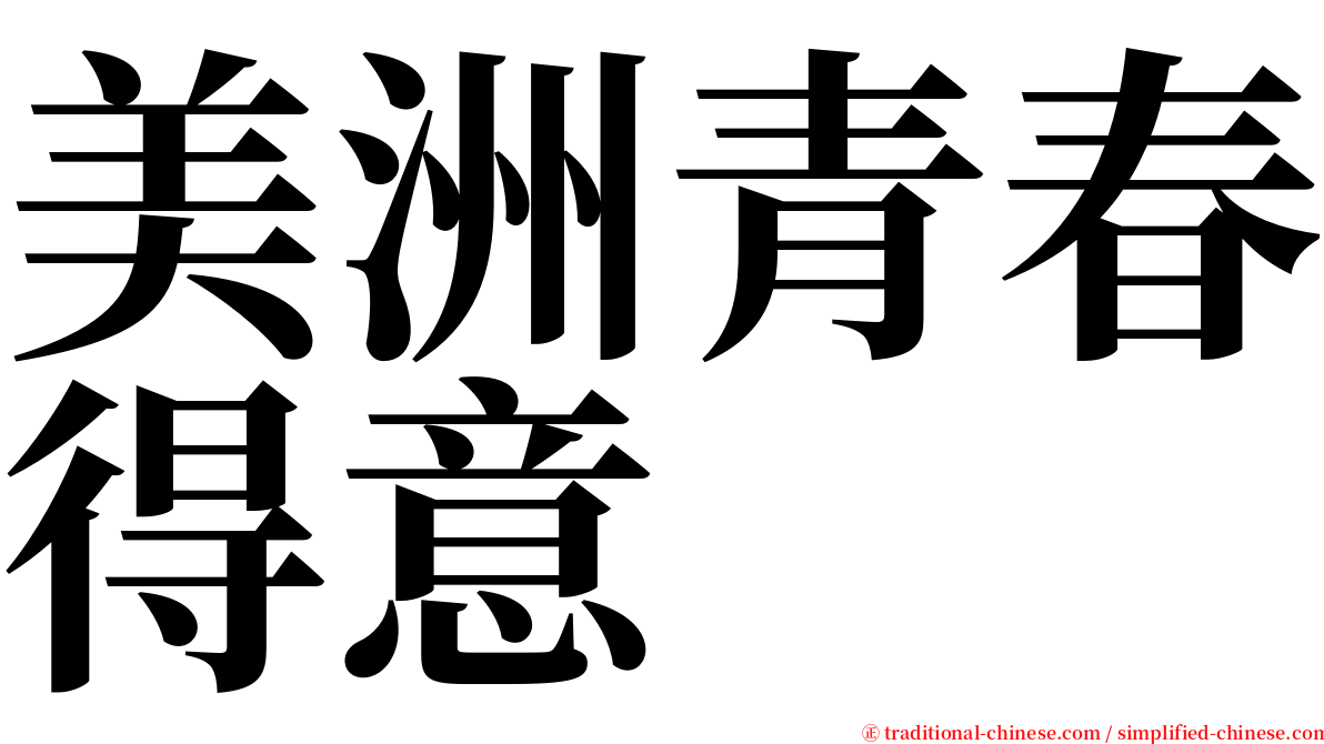 美洲青春得意 serif font