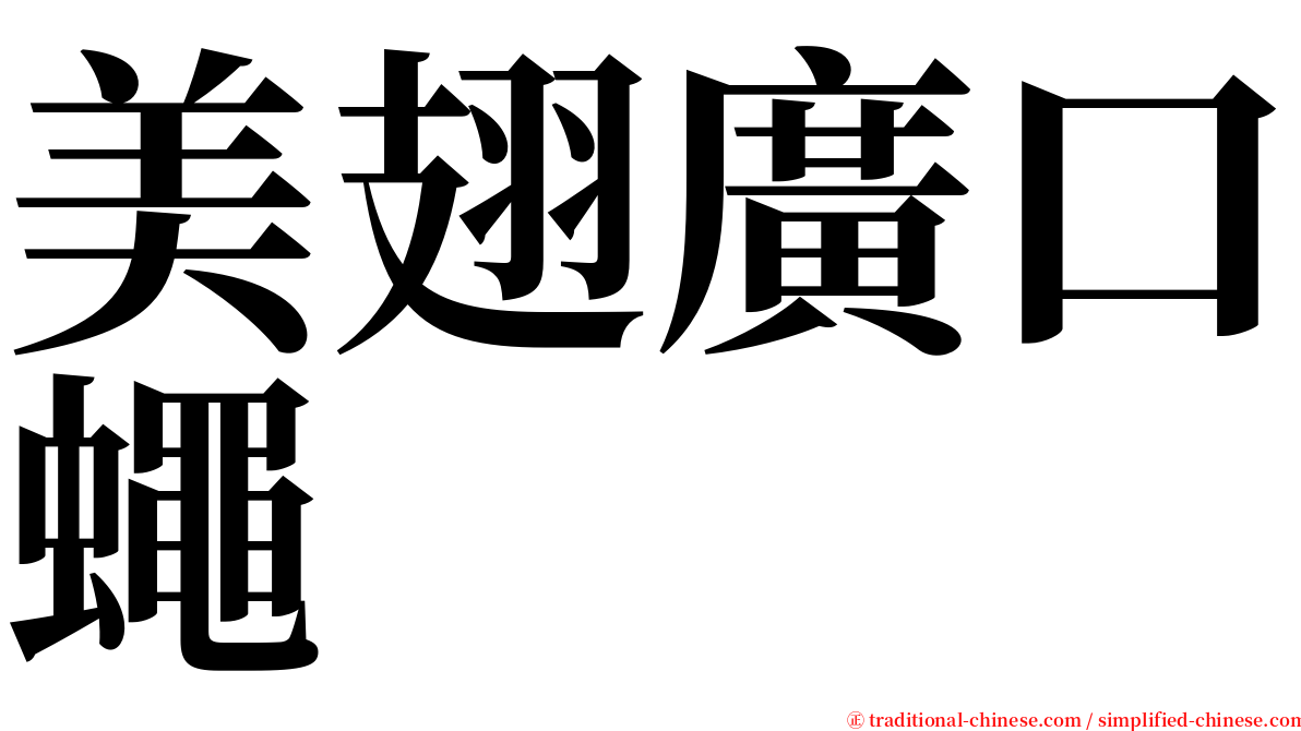 美翅廣口蠅 serif font