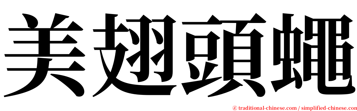 美翅頭蠅 serif font