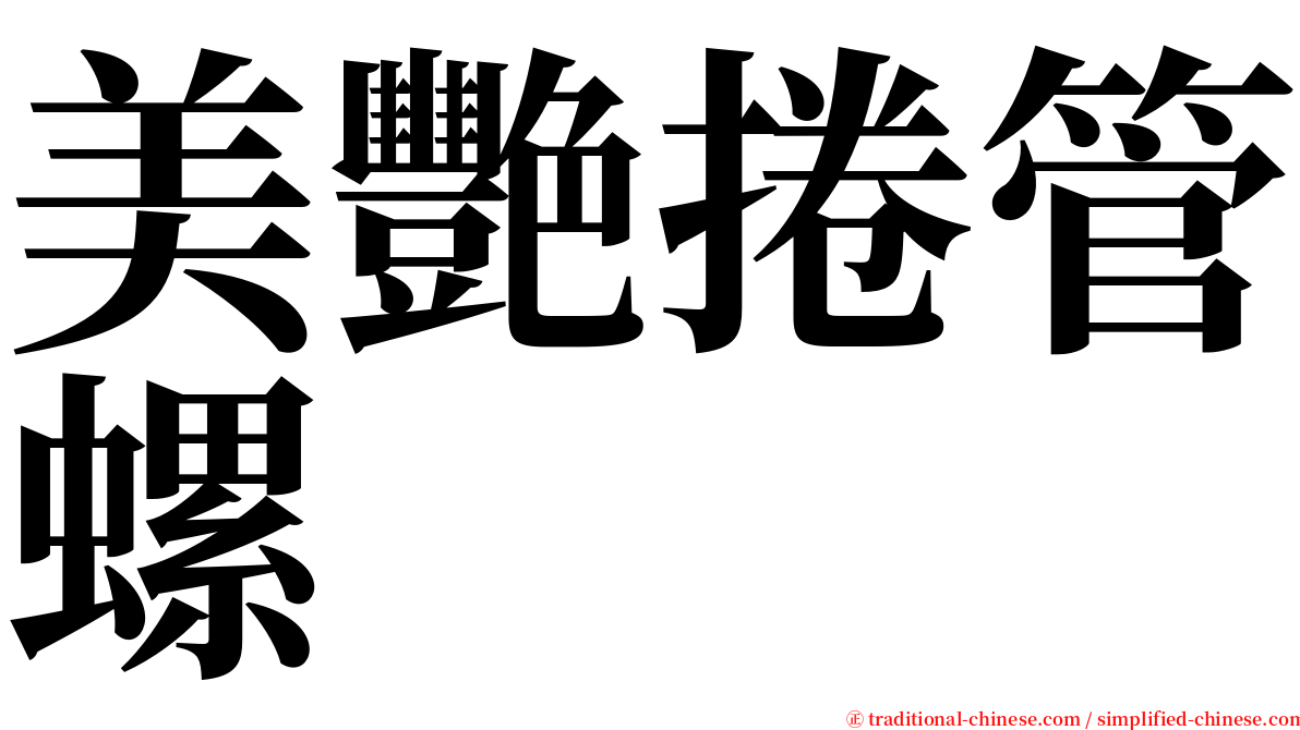 美艷捲管螺 serif font