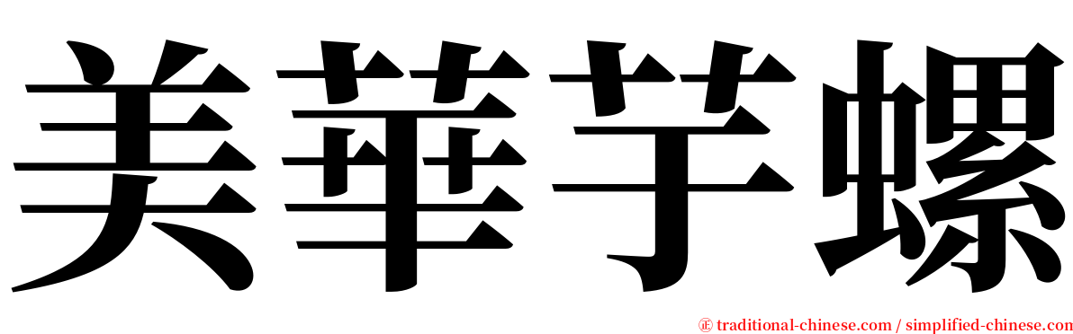 美華芋螺 serif font