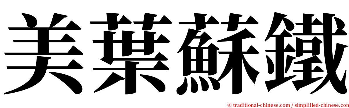 美葉蘇鐵 serif font