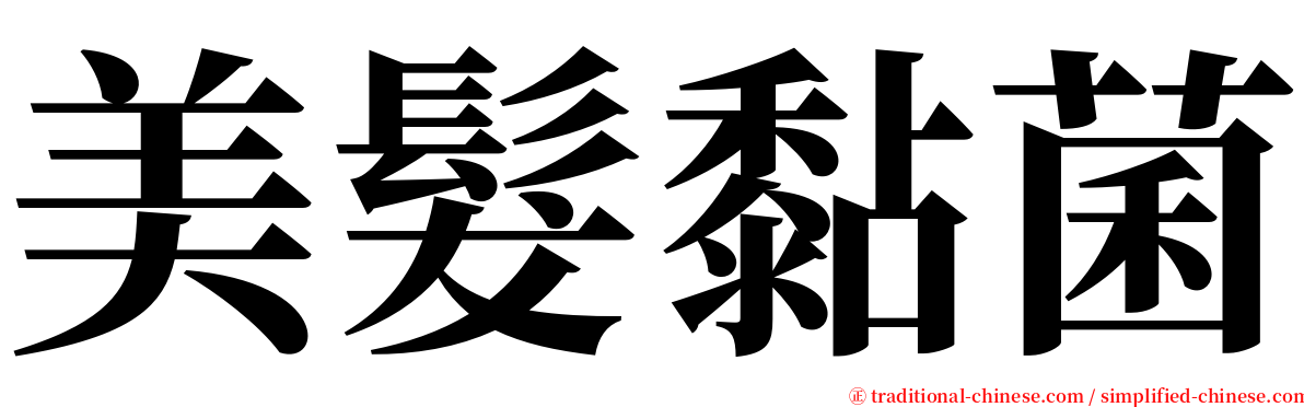 美髮黏菌 serif font