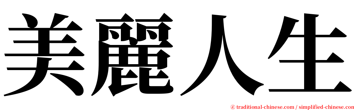 美麗人生 serif font