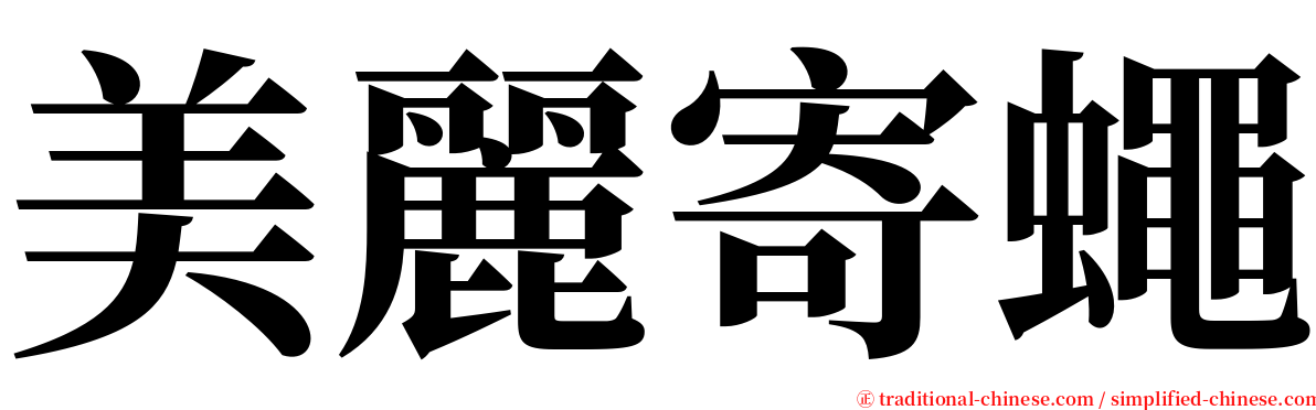 美麗寄蠅 serif font