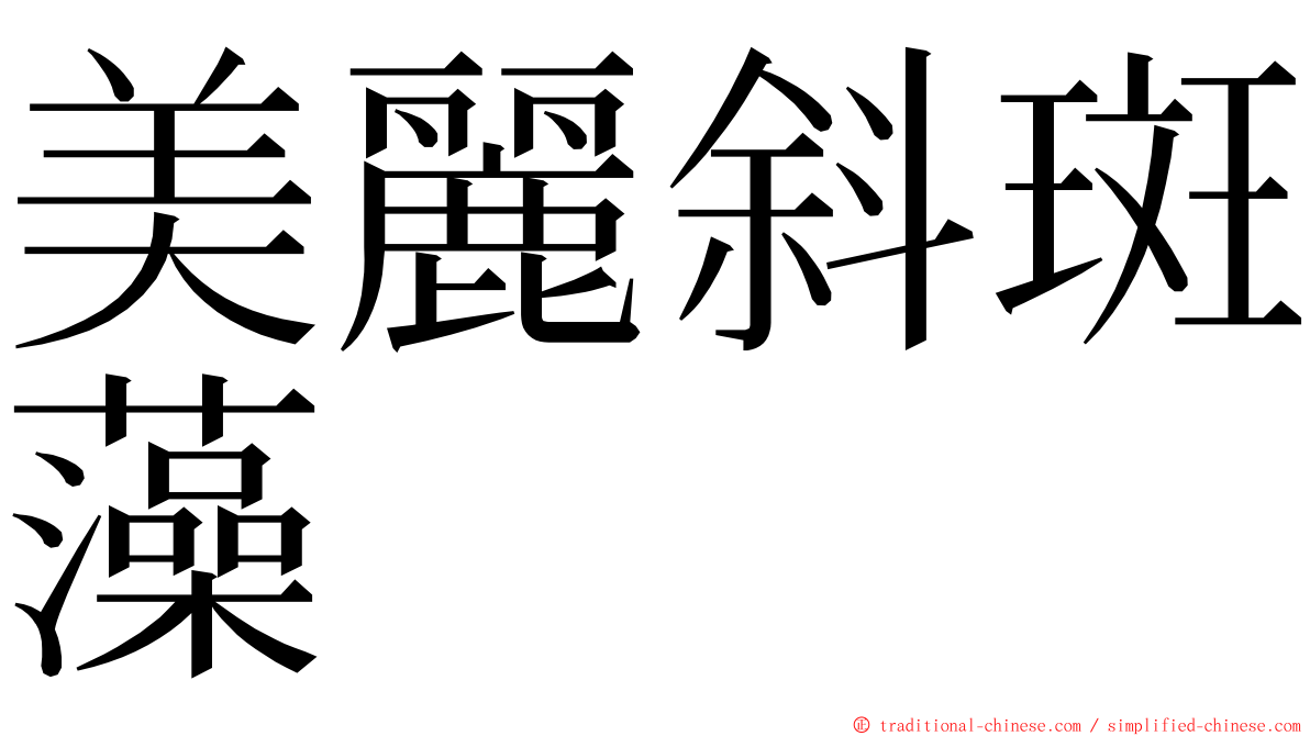 美麗斜斑藻 ming font