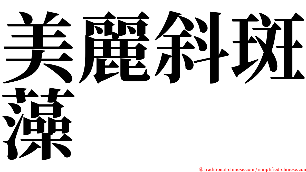 美麗斜斑藻 serif font