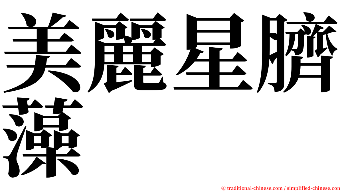 美麗星臍藻 serif font