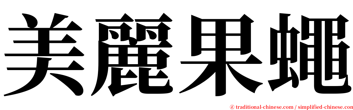 美麗果蠅 serif font