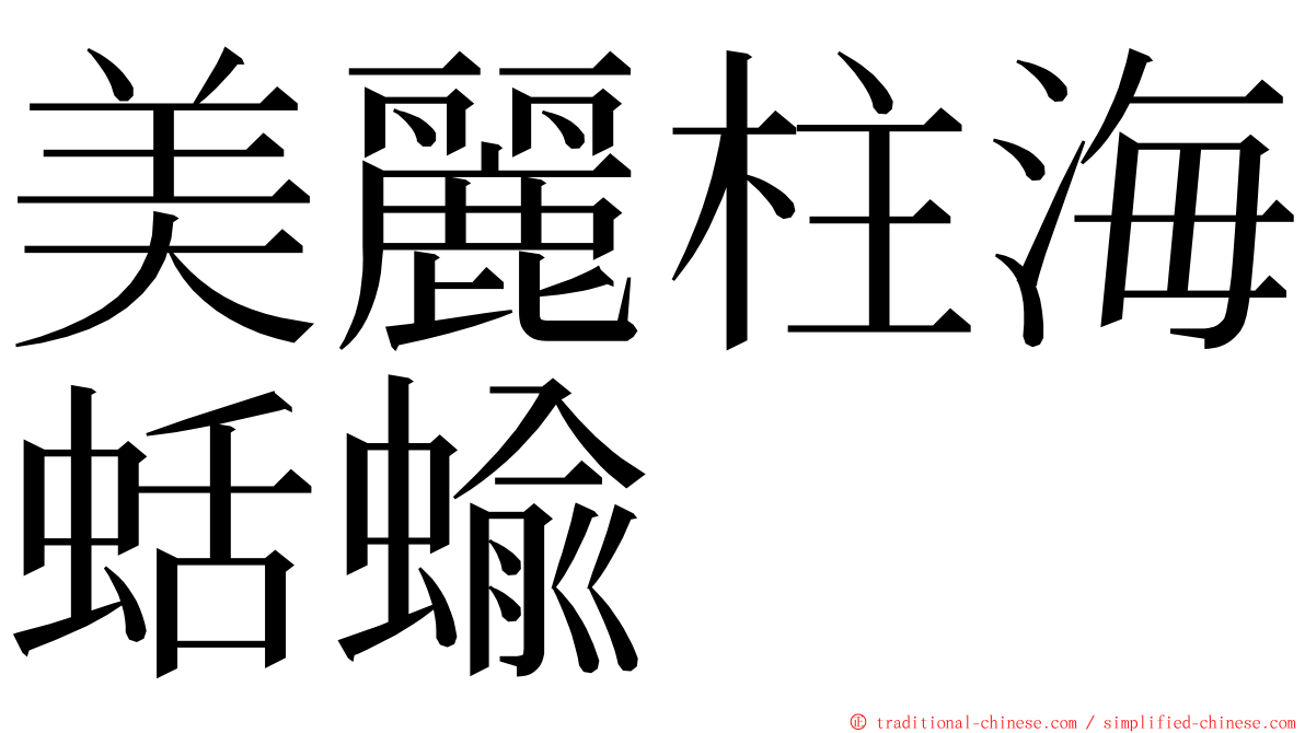 美麗柱海蛞蝓 ming font