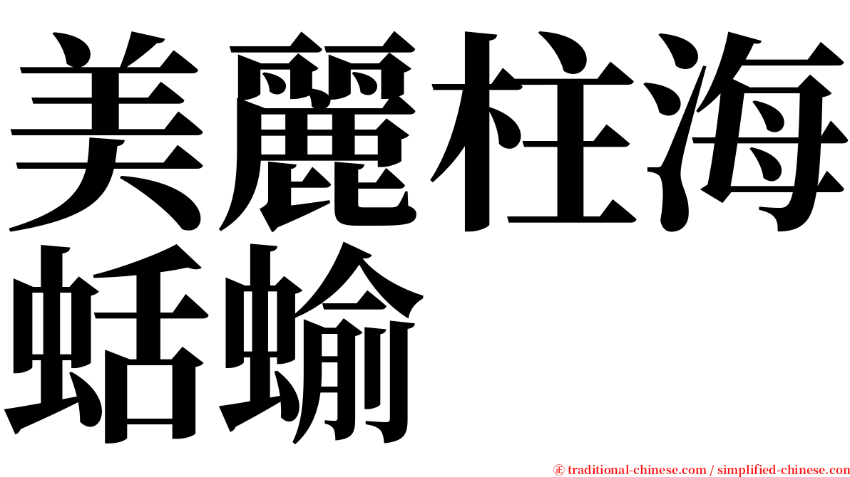 美麗柱海蛞蝓 serif font