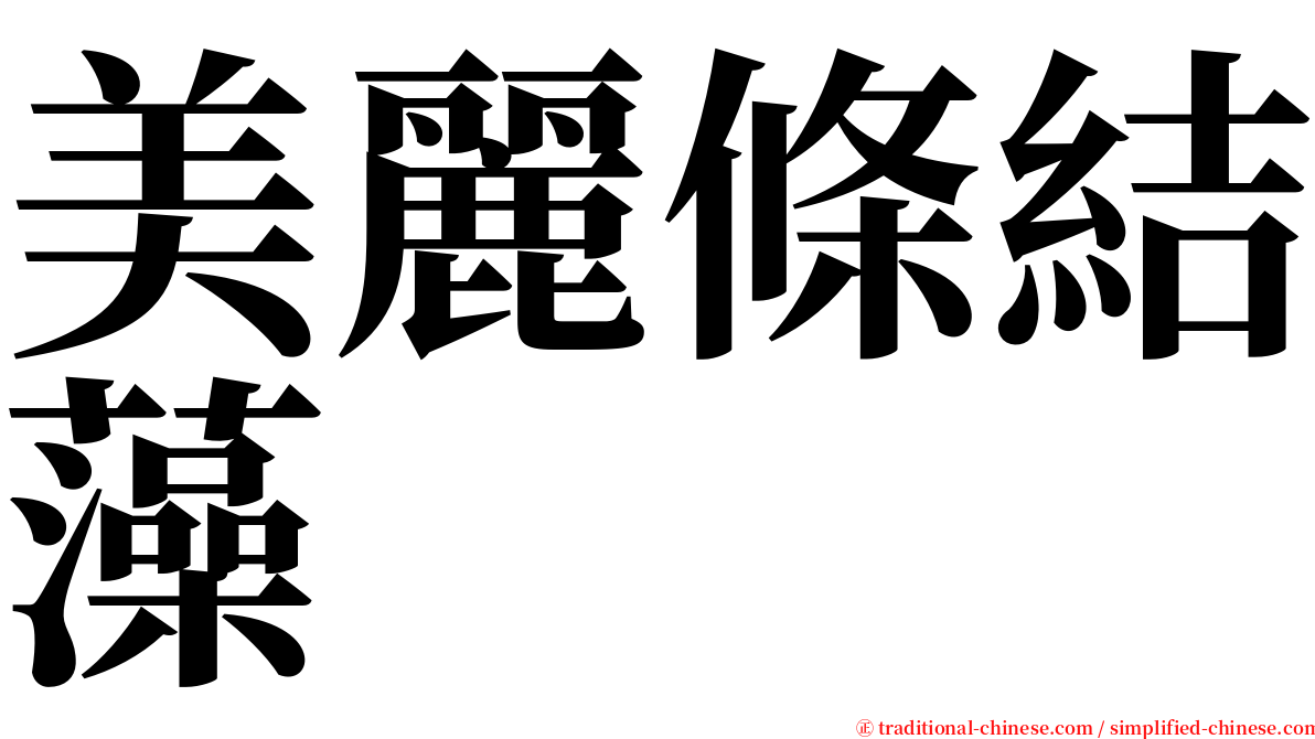 美麗條結藻 serif font