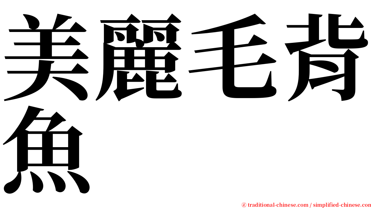 美麗毛背魚 serif font