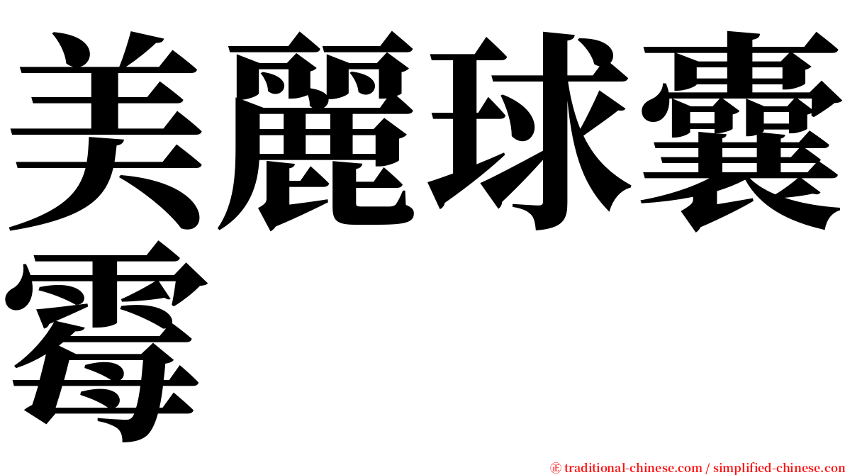 美麗球囊霉 serif font