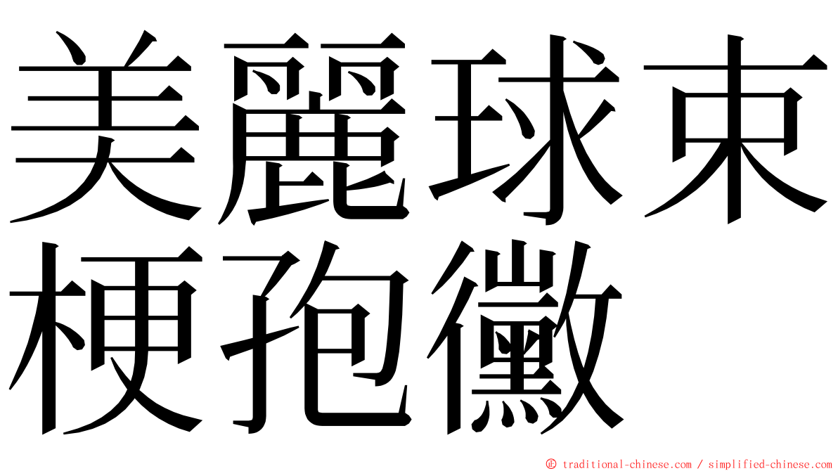 美麗球束梗孢黴 ming font