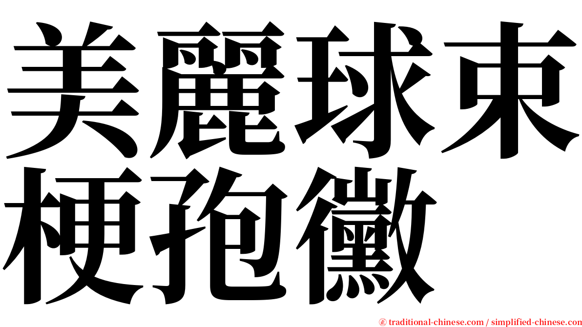 美麗球束梗孢黴 serif font