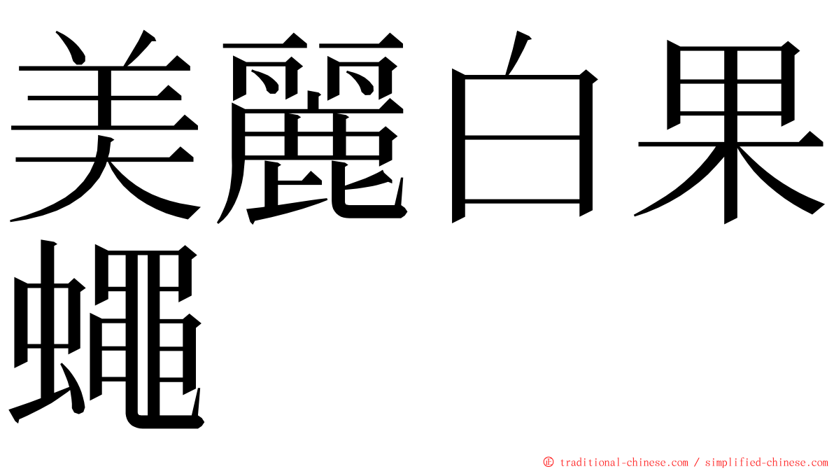 美麗白果蠅 ming font