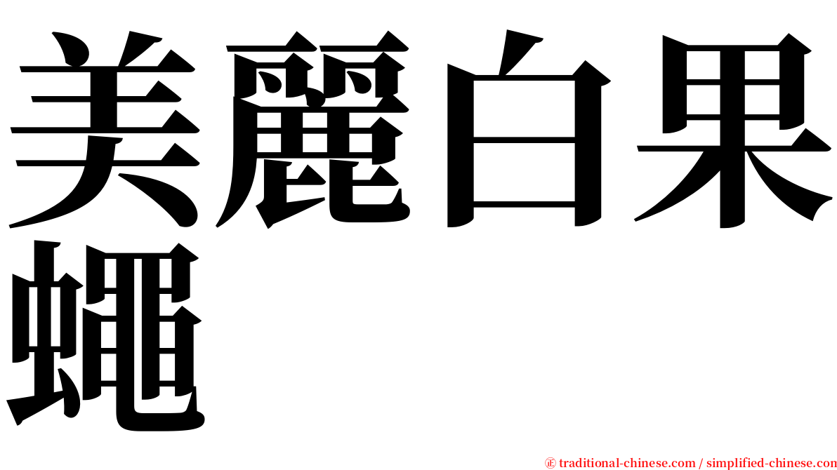 美麗白果蠅 serif font